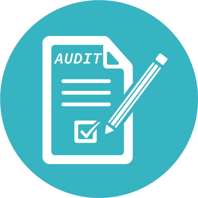 audit
